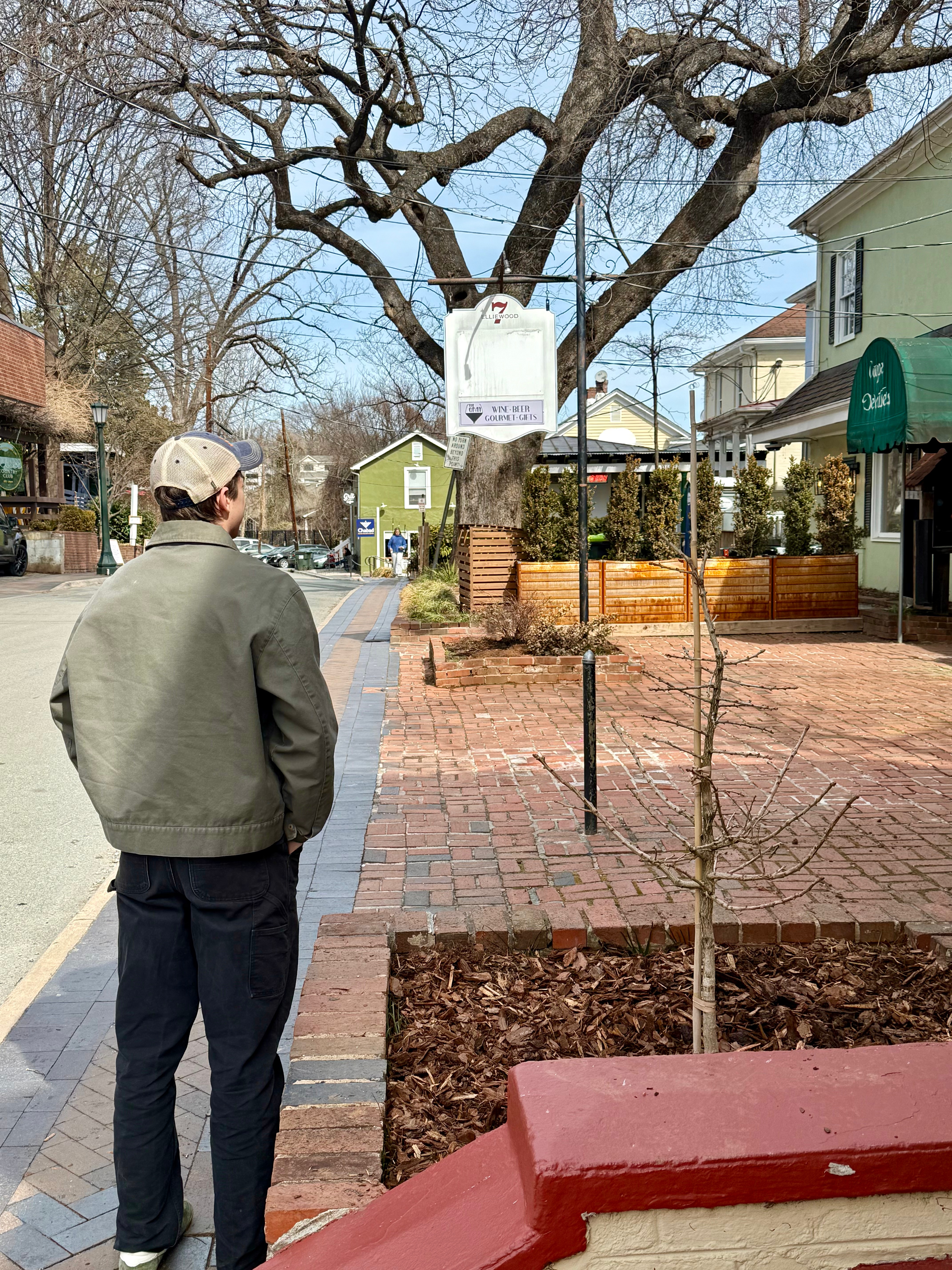 A Bildungsroman and the Boulevard of Linden: Another Day, Another Dollar at Ginkgo Bookshop